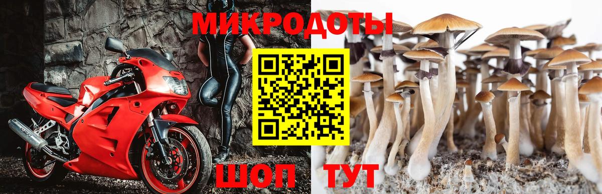 Галлюциногенные грибы MAGIC MUSHROOMS Аксай